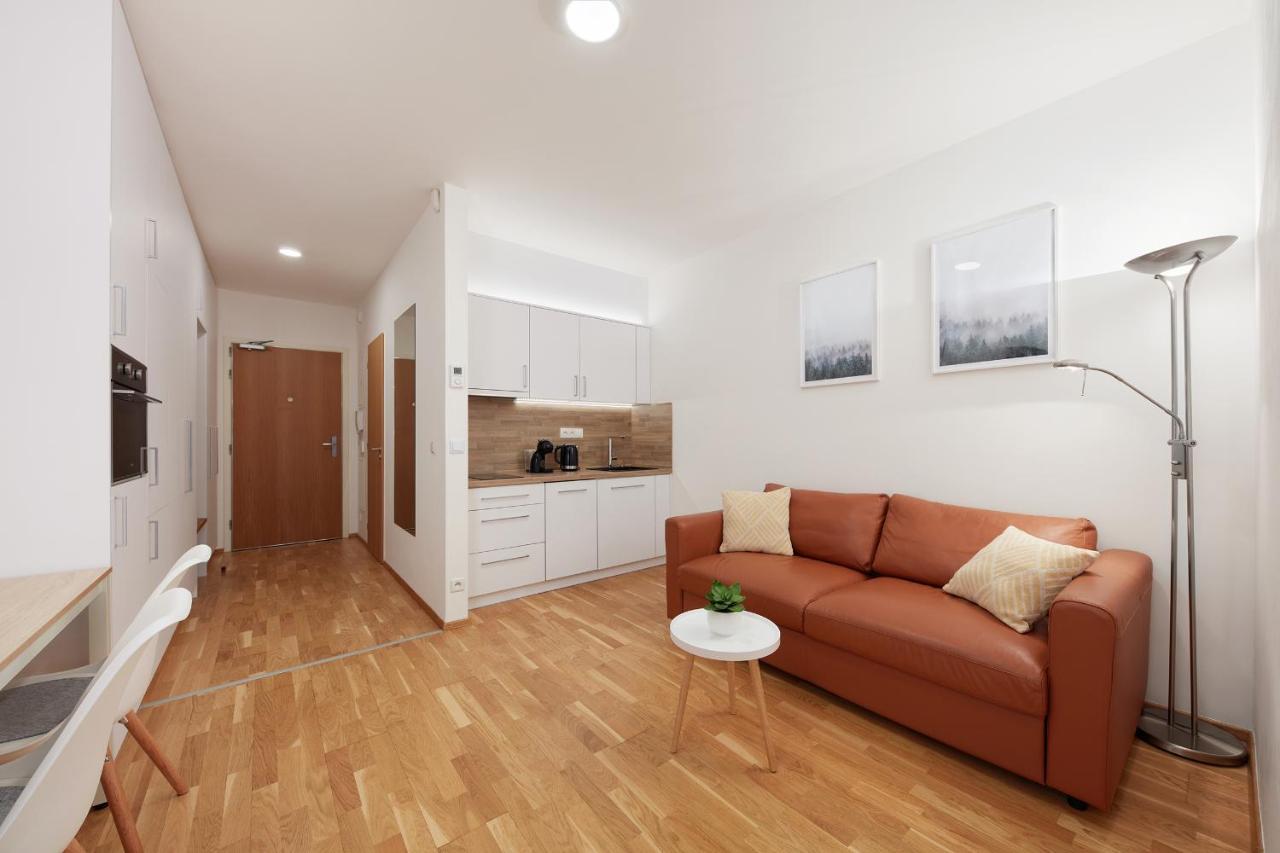 Medvedin 408 Apartment *